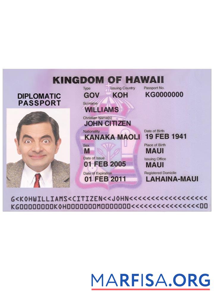 Realistic Hawaii visa example